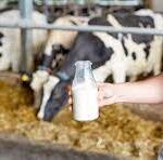 Milk Dairy Factory Jobs in India – Apply Now!