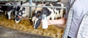 Milk Dairy Factory Jobs in India – Apply Now!